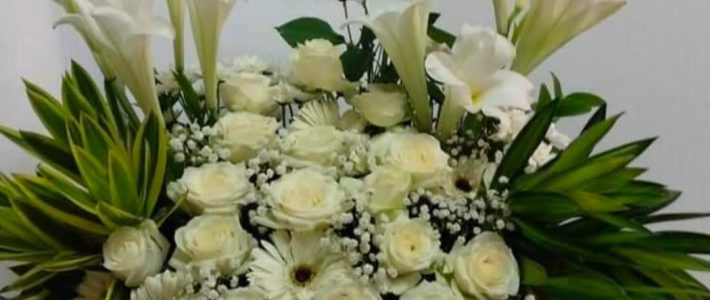 Toko Florist Murah Di Tanjung Priuk Jakarta Utara