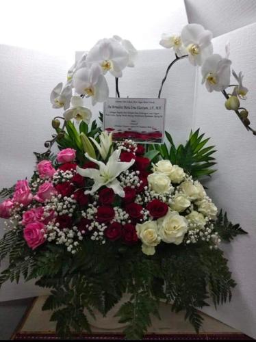 84b6b22d-f2ce-45ac-a63f-c5cdfab3646b